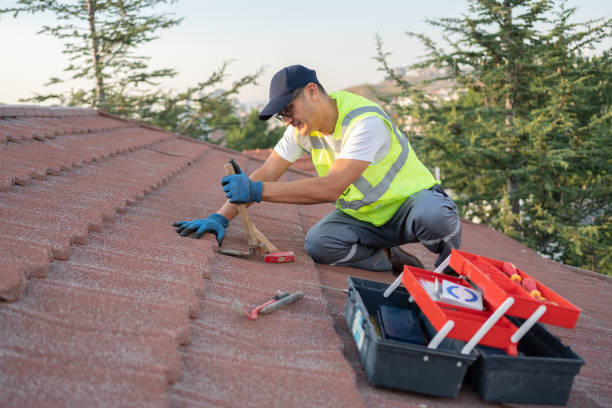 Best Metal Roofing Contractor  in Hayti, MO