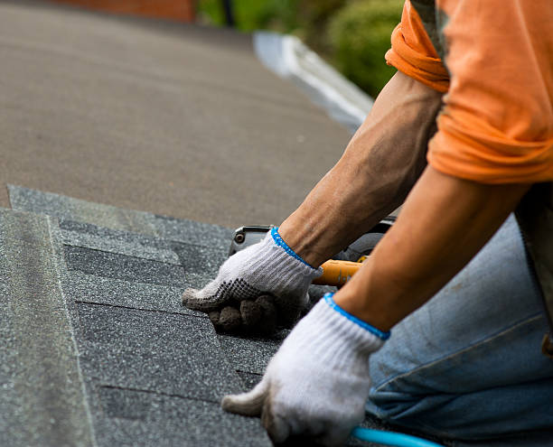 Best Shingle Roofing Installation  in Hayti, MO