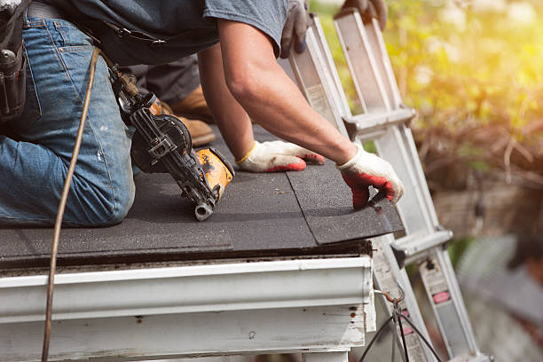 Best Flat Roof Repair Services  in Hayti, MO
