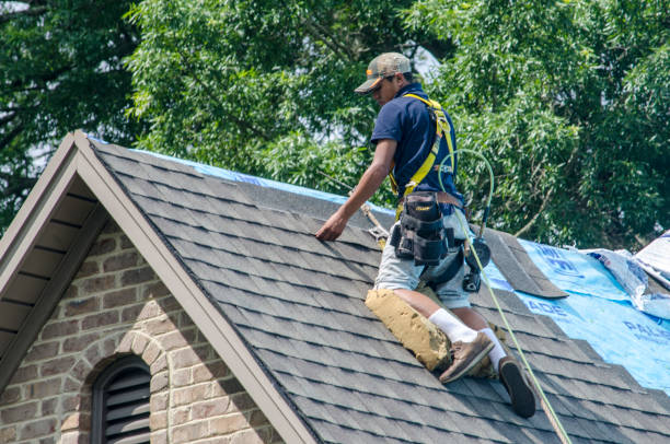 Gutter Installation and Roofing in Hayti, MO